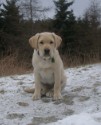 Rocky_winter 2007 036.jpg